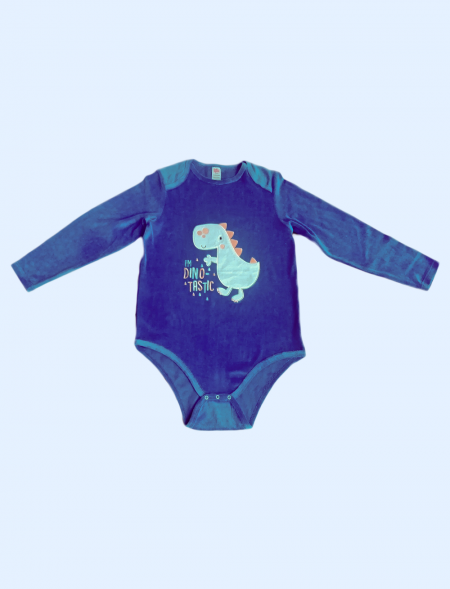 Dinosaur  long sleeves...