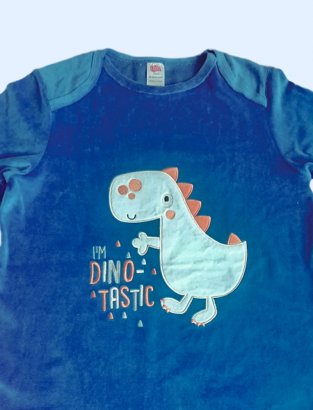 Dinosaur  long sleeves...